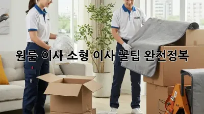 원룸 이사, 소형 이사 꿀팁 완전정복!