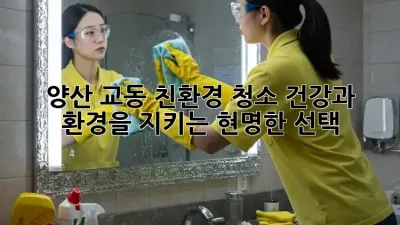 양산 교동 친환경 청소: 건강과 환경을 지키는 현명한 선택